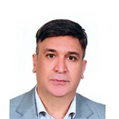 سید حسین میر معینی