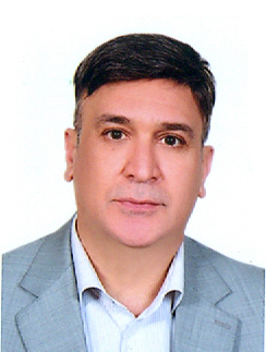 سید حسین میر معینی