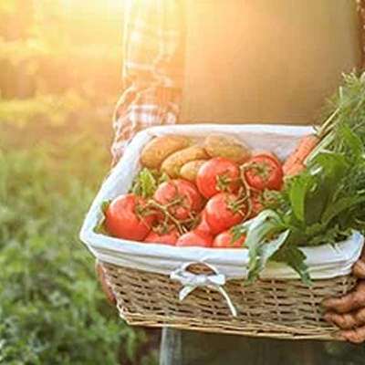 صنایع غذایی و کشاورزی